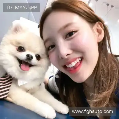 沈辉